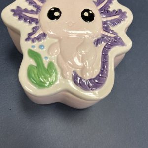 Axolotl Box